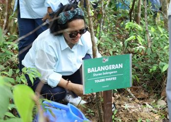 Lusie Susantono-Alumni FH UI Tanam Pohon di Samboja Lestari