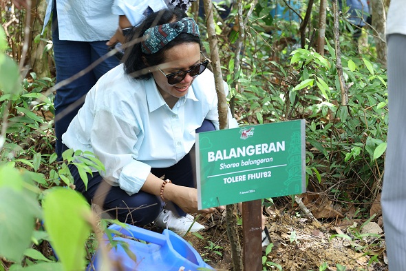 Lusie Susantono-Alumni FH UI Tanam Pohon di Samboja Lestari