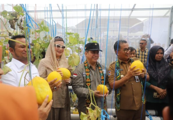 Akmal Malik Panen Melon di SMAN 3 Tenggarong
