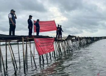 MUI dorong pemerintah cabut pagar laut di Tangerang