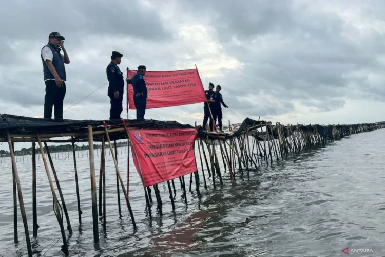 MUI dorong pemerintah cabut pagar laut di Tangerang