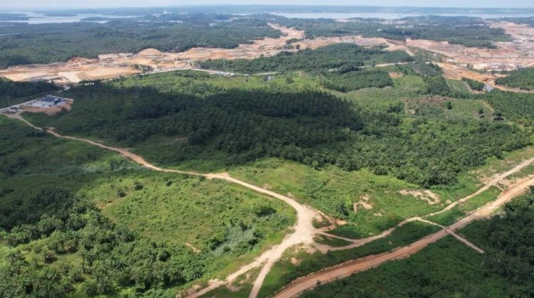 Bank Tanah Laksanakan Kewajiban Reforma Agraria di Penajam Paser Utara