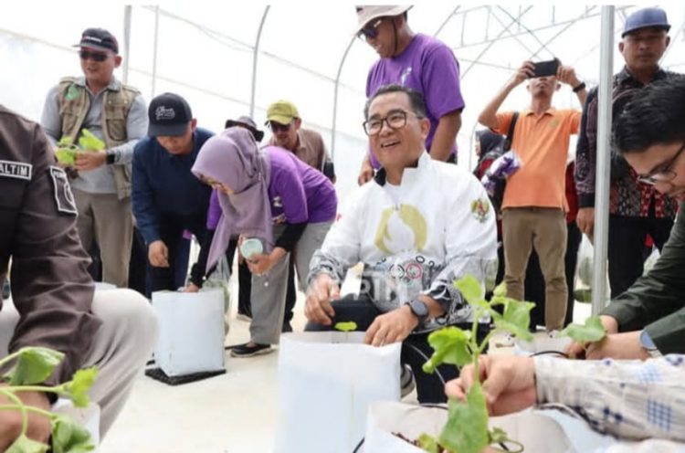 Tanam Stroberi di Lahan eks Tambang Semangat Menanam Siswa SMK Al Jabar