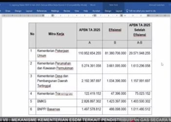 Kementerian PKP Revisi Efisiensi, Pagu Anggaran jadi Rp3,462 T