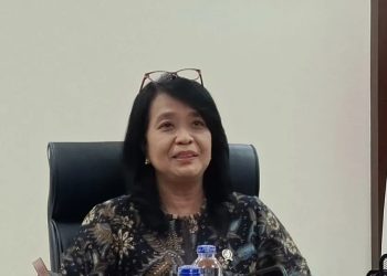 Wamen PU Sebut Pembangunan IKN Berlanjut di Area Legislatif-Yudikatif