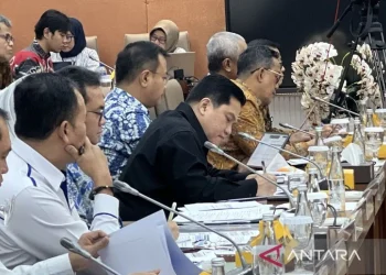 Menteri Erick Upayakan Efisiensi Anggaran Tak Sebabkan PHK