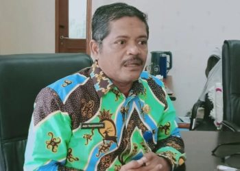 Lahan Rawa di Penajam Dijadikan Sawah untuk Menunjang Pangan Kota Nusantara