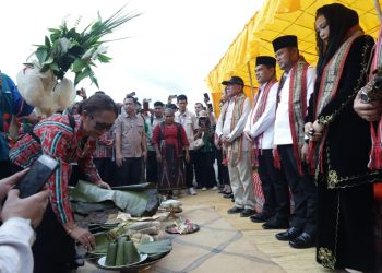 Target Swasembada Pangan