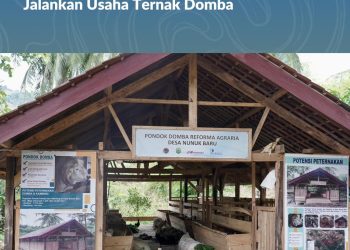 Tanah Bersertipikat, Domba Bertambah