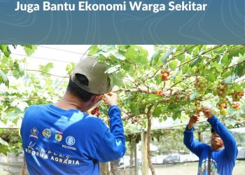 Bukan Hanya bagi Petani, Kampung Reforma Agraria Desa Duyu Juga Bantu Ekonomi Warga Sekitar