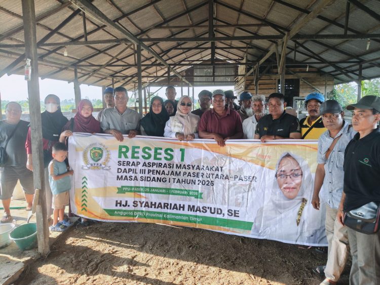 Reses di Penajam Hj Syahariah Mas’ud Serahkan 30 Ekor Sapi untuk Kelompok Tani Harapan Makmur