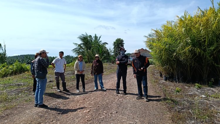 Dari Peta ke Lokasi Kantor Pertanahan Paser Tinjau PKKPR Berusaha