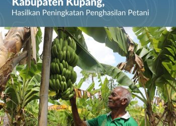 Reforma Agraria Ubah Pola Pikir Warga Desa Baumata di Kabupaten Kupang