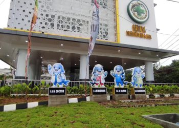 Kenalkan CIRO, Maskot Pesut Mahakam yang Jadi Wajah Humanis RSUD IA Moeis