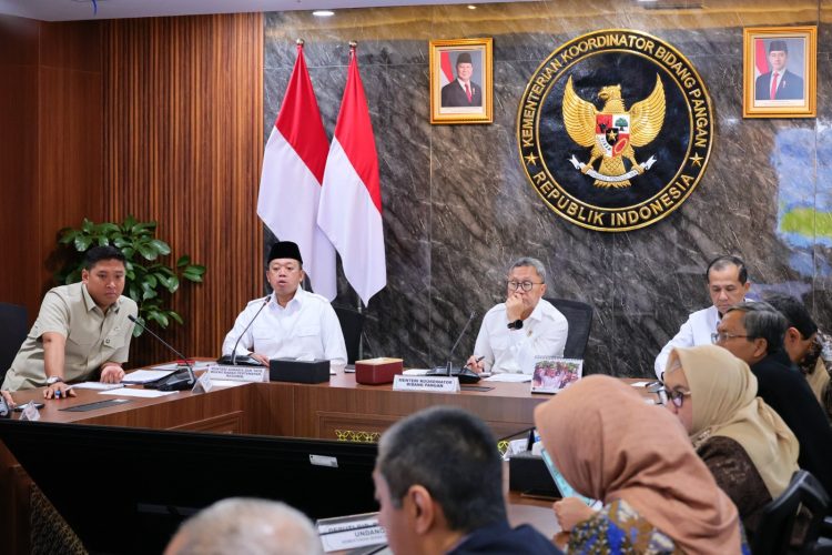 Dukung Ketahanan Pangan, Pemerintah Akan Tetapkan Lahan Sawah Dilindungi di 12 Provinsi