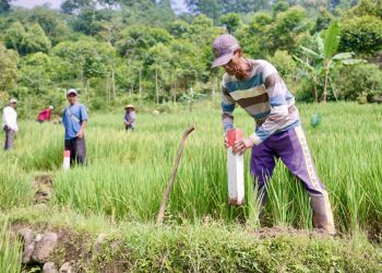 Pasang Patok Jadi Langkah Sederhana Cegah Sengketa Tanah