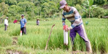 Pasang Patok Jadi Langkah Sederhana Cegah Sengketa Tanah