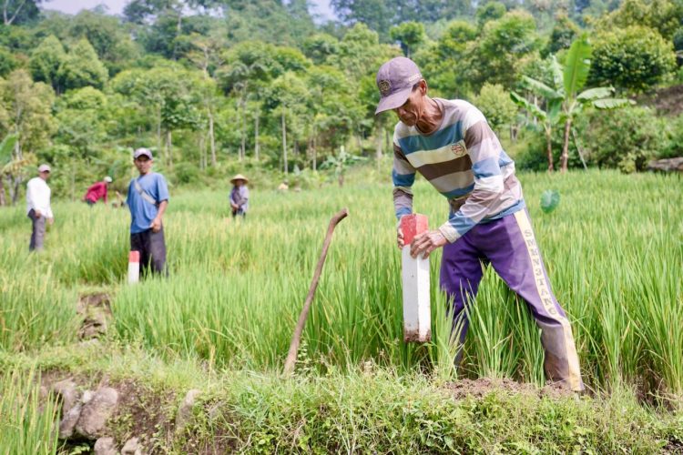 Pasang Patok Jadi Langkah Sederhana Cegah Sengketa Tanah