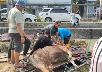 Semangat Gotong Royong Warnai Suasana Kurban di RSJ Atma Husada Mahakam