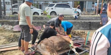Semangat Gotong Royong Warnai Suasana Kurban di RSJ Atma Husada Mahakam