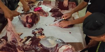 Dinkes Kaltim Sembelih 7 Hewan Kurban, Daging Disalurkan hingga Panti Asuhan