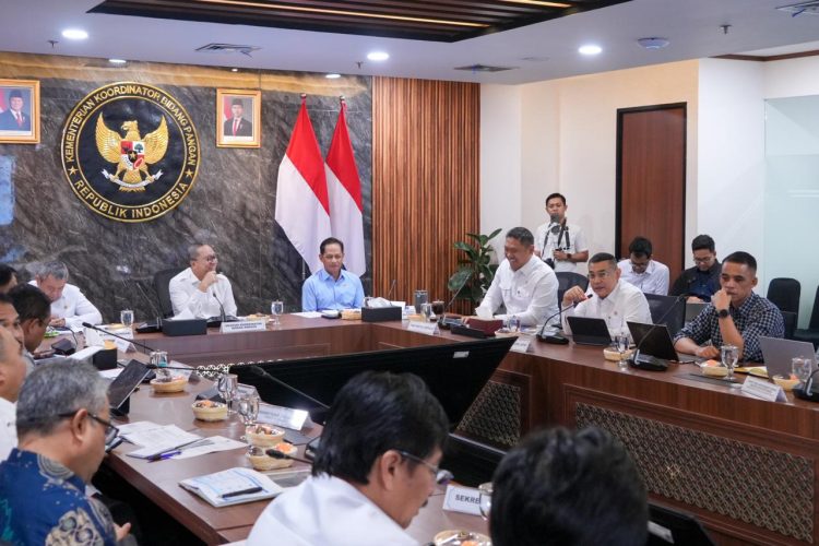 Papua Selatan Disiapkan Jadi Lumbung Pangan Nasional, ATR/BPN Perkuat Tata Ruang